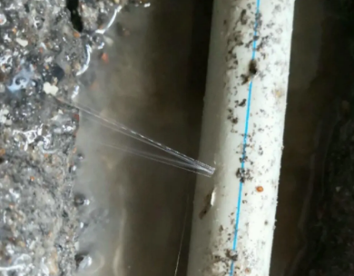 临朐测漏水哪家好